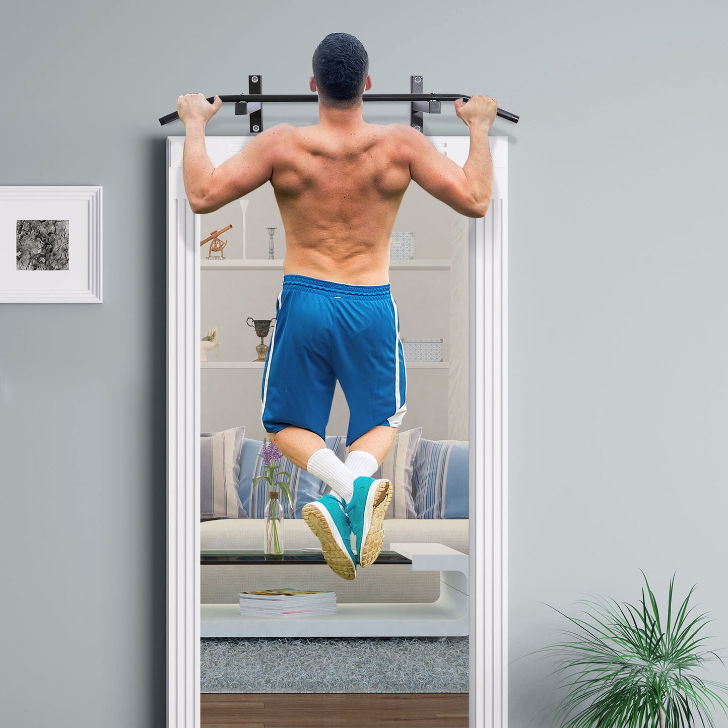 Wall Mount Pull Up Bar